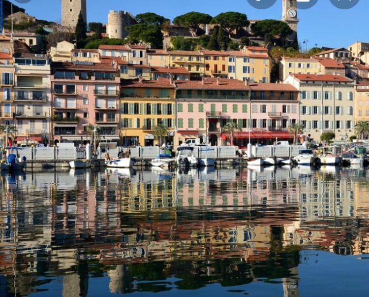 A Deux Pas Du Palais Des Festivals , Deux Pieces Dans Le Bas Du Quartier Historique Du Suquet A Cannes Exterior photo